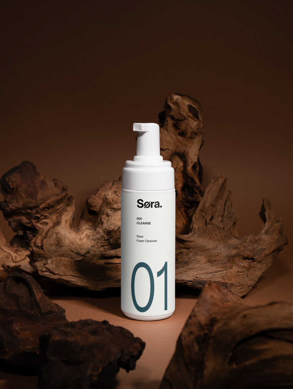 Cleansing Foam